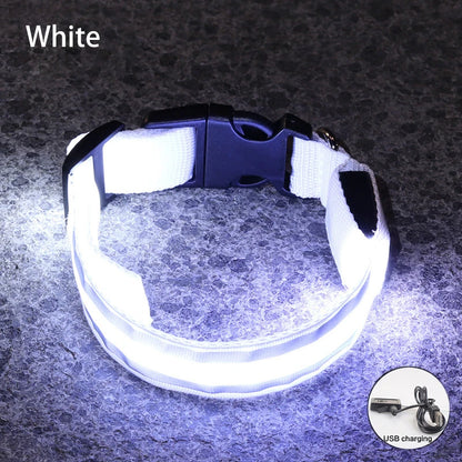 USB Rechargeable/Button Battery Dog Collar Light Luminous Flashing Glowing Nylon Reflective LED Dog Collar Night Safety For Cats