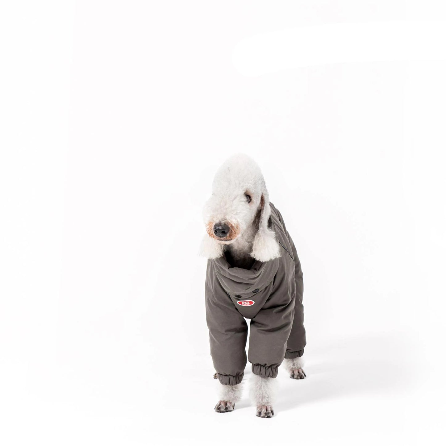 Luxury Clothing for  Italian Greyhound Dogs Winter Puppy Clothes Warm 4-legged Turtleneck Coat for Whippet Dog Sweatshirt