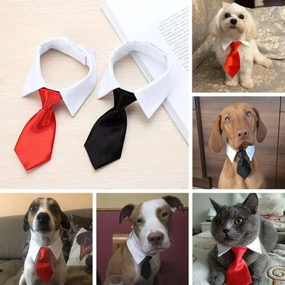 Pet Dog Cat Formal Necktie Tuxedo Bow Tie Black and Red Collar for Dog & Cat Pet Accessories for Wedding Holiday and Party Gift