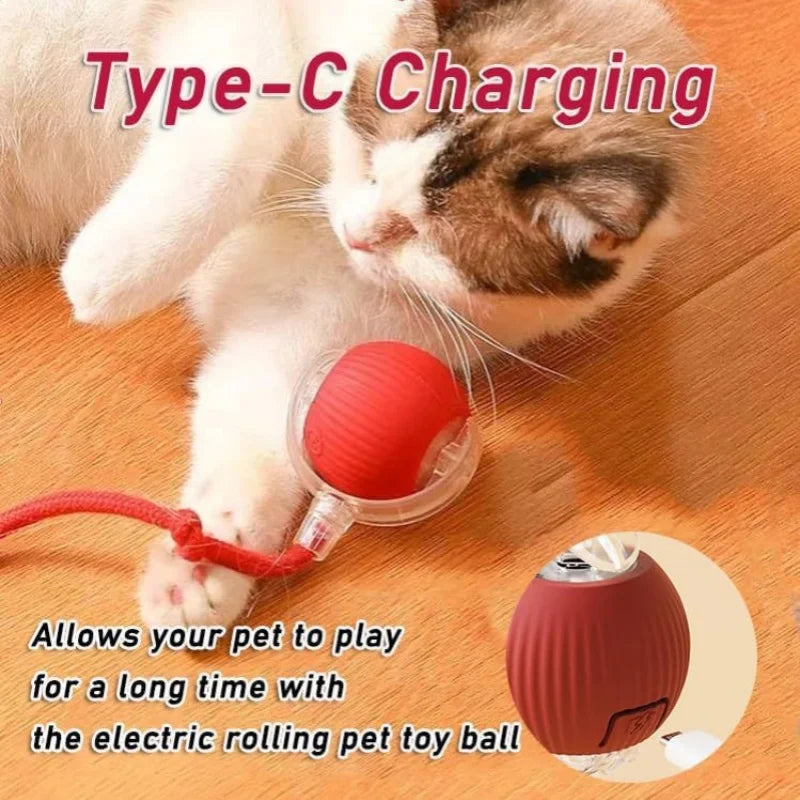 Hot Electric Dog Ball Toys Automatic Rolling Ball Rechargeable Smart Pet Interactive Plush Toy Dog Cat Training Imitate Mouse