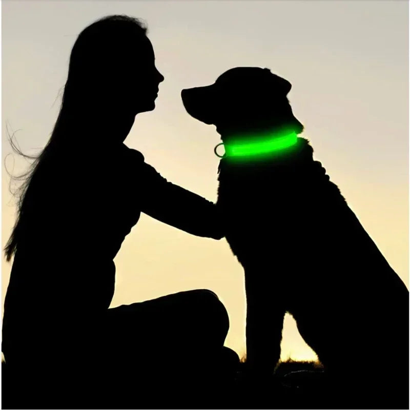 LED Glowing Dog Collar Adjustable Flashing Rechargea Luminous Collar Night Anti-Lost Dog Light HarnessFor Small Dog Pet Products