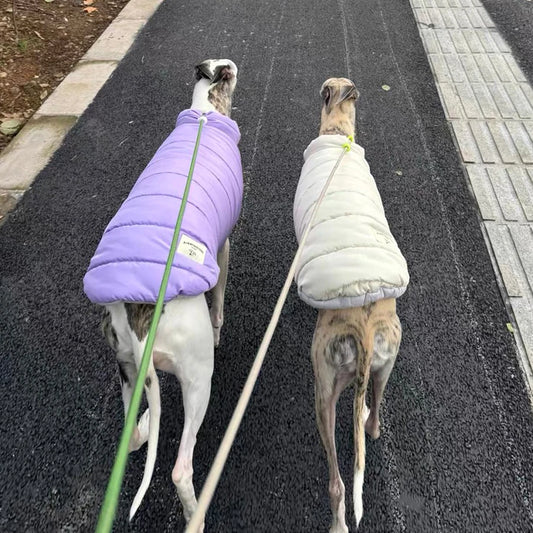 Xhaketë e modës në Itali për zagar të bardhë me butona me jelek të ngrohtë dhe të trashë Veshje whippet Veshje kundër erës për qentë Terrier