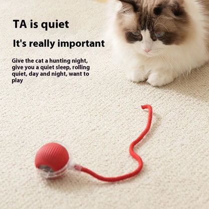 Rechargeable Cat Toys Interactive Smart Pet Interaction Automatic Rolling Ball Toy Accessories for Cats Electric Dog Ball Things