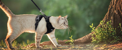 Cat Harness and Leash for Walking, Escape Proof Soft Adjustable Vest Harnesses for Cats, EasyControl