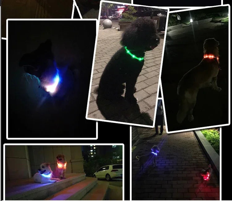 Silicone Led Dog Collar Usb Rechargeable Luminous Dog Collar Anti-Lost/Car Accident Safety Pet Light Collar for Dog Accessories