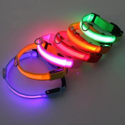 LED Glowing Dog Collar Adjustable Flashing Rechargea Luminous Collar Night Anti-Lost Dog Light HarnessFor Small Dog Pet Products