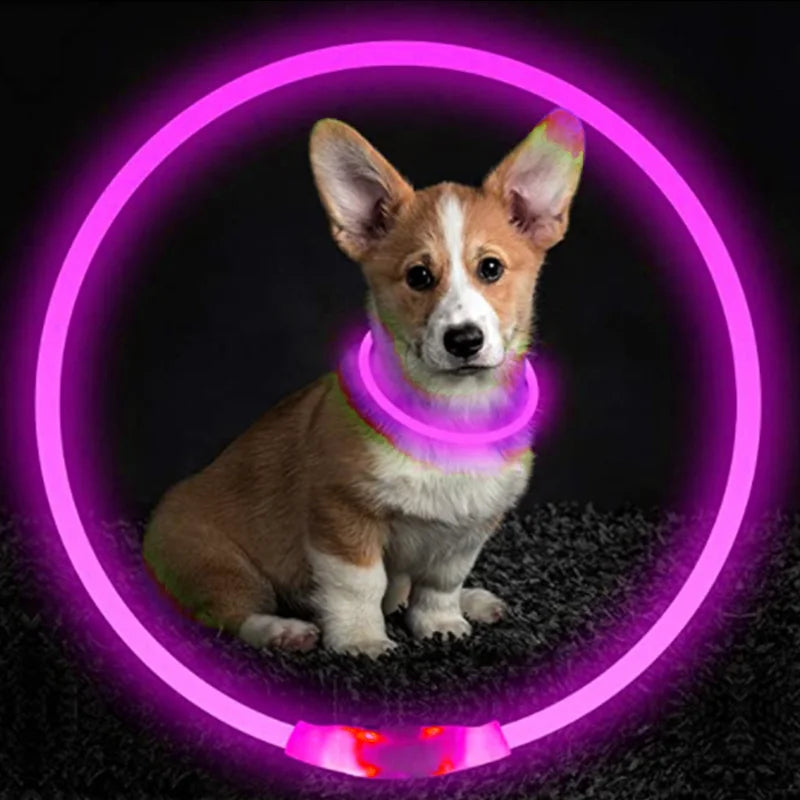 Led Luminous Dog Collar Light USB Charging Necklace, Flashing DIY Glowing Safety Anti Lost Cat Dogs Collar Accessories Supplies