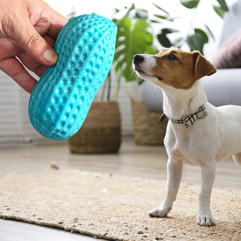 Dog Chewing Toy Simulation Peanut Squeaking Plaything Grinding Teeth Cleaning Anti Bite Rubber Cat Pet Toy Interactive Chew