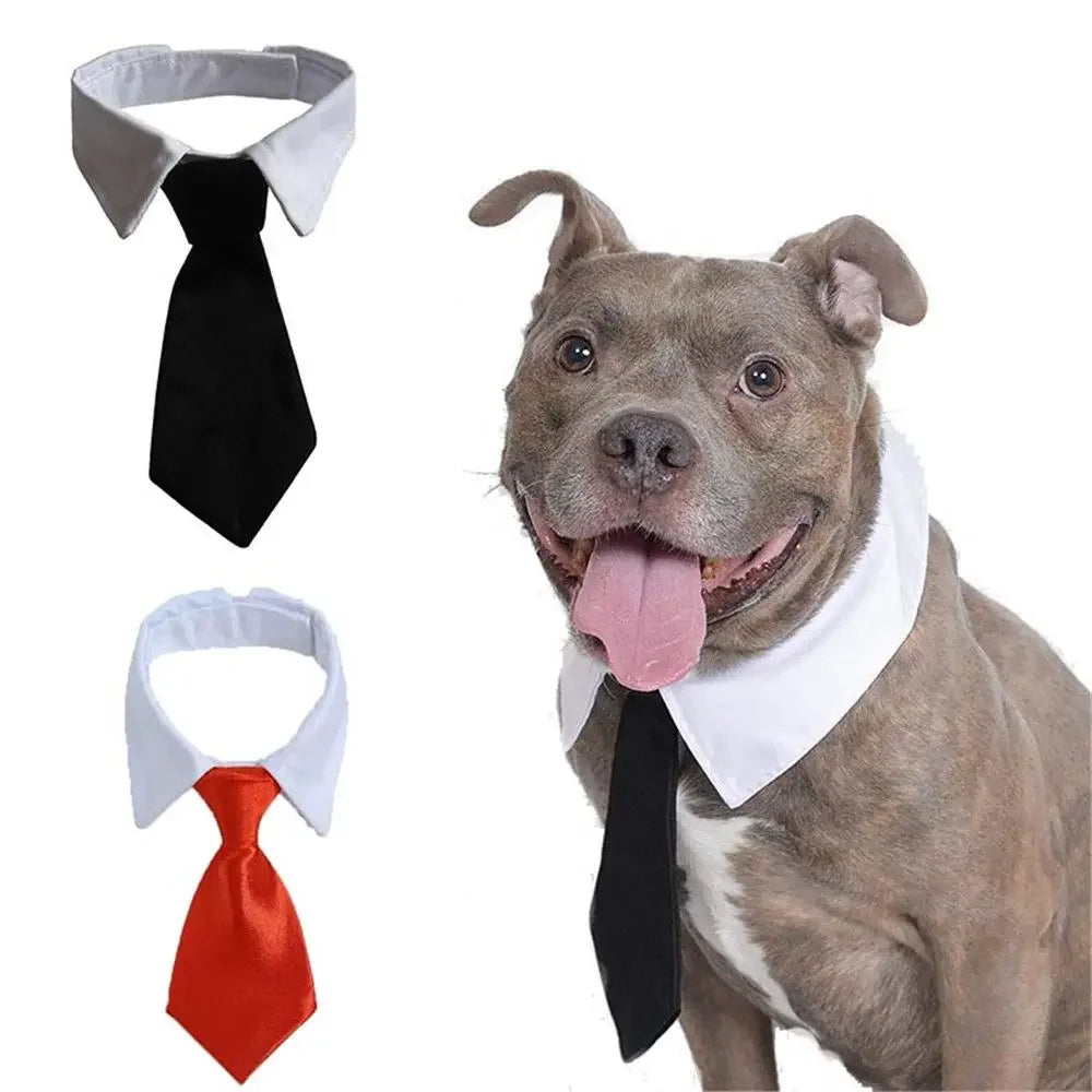 Pet Dog Cat Formal Necktie Tuxedo Bow Tie Black and Red Collar for Dog & Cat Pet Accessories for Wedding Holiday and Party Gift