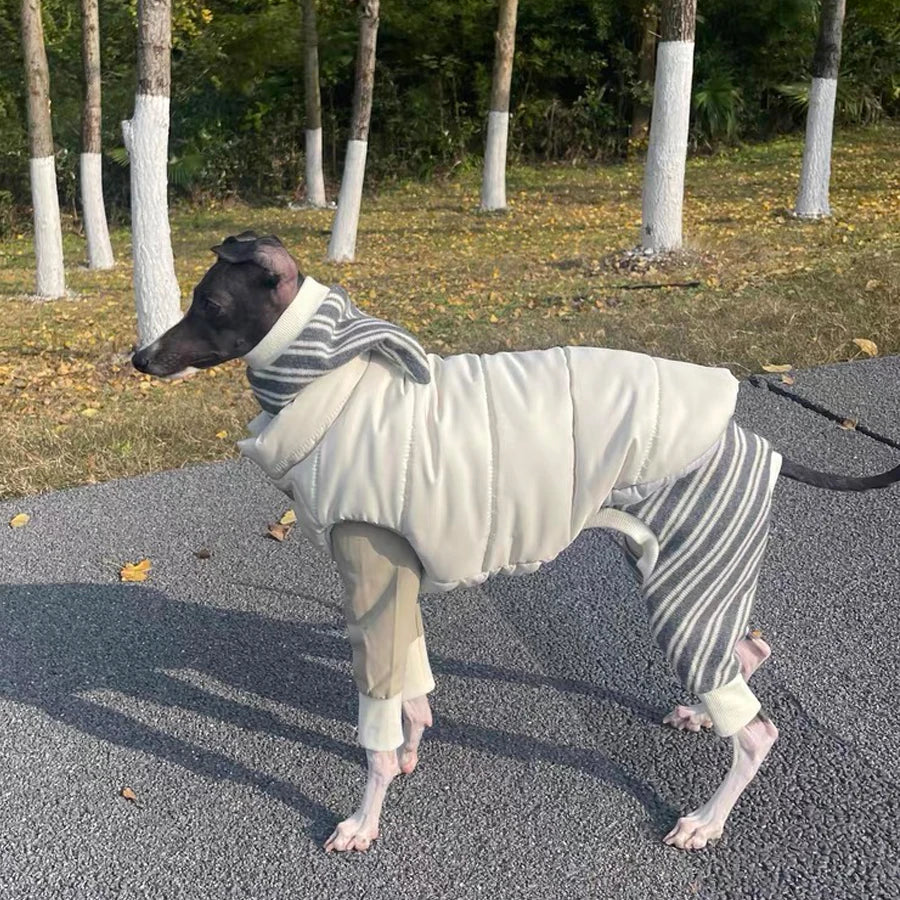 Fashion Italy Greyhound Jacket White Puple Button-up Warm Thick Vest Whippet Clothes Windproof Coat for Terrier Dogs