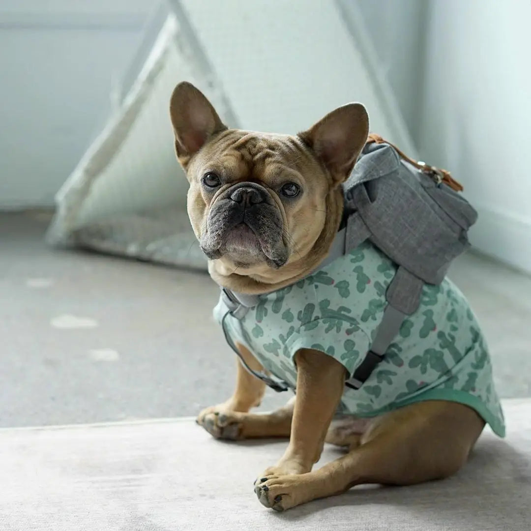 Preppy Style Bulldog Dog Travel Backpack Harness For Small Medium Dogsr To Wear Outdoor Cute Dog Carrier Bag Backpack Pets