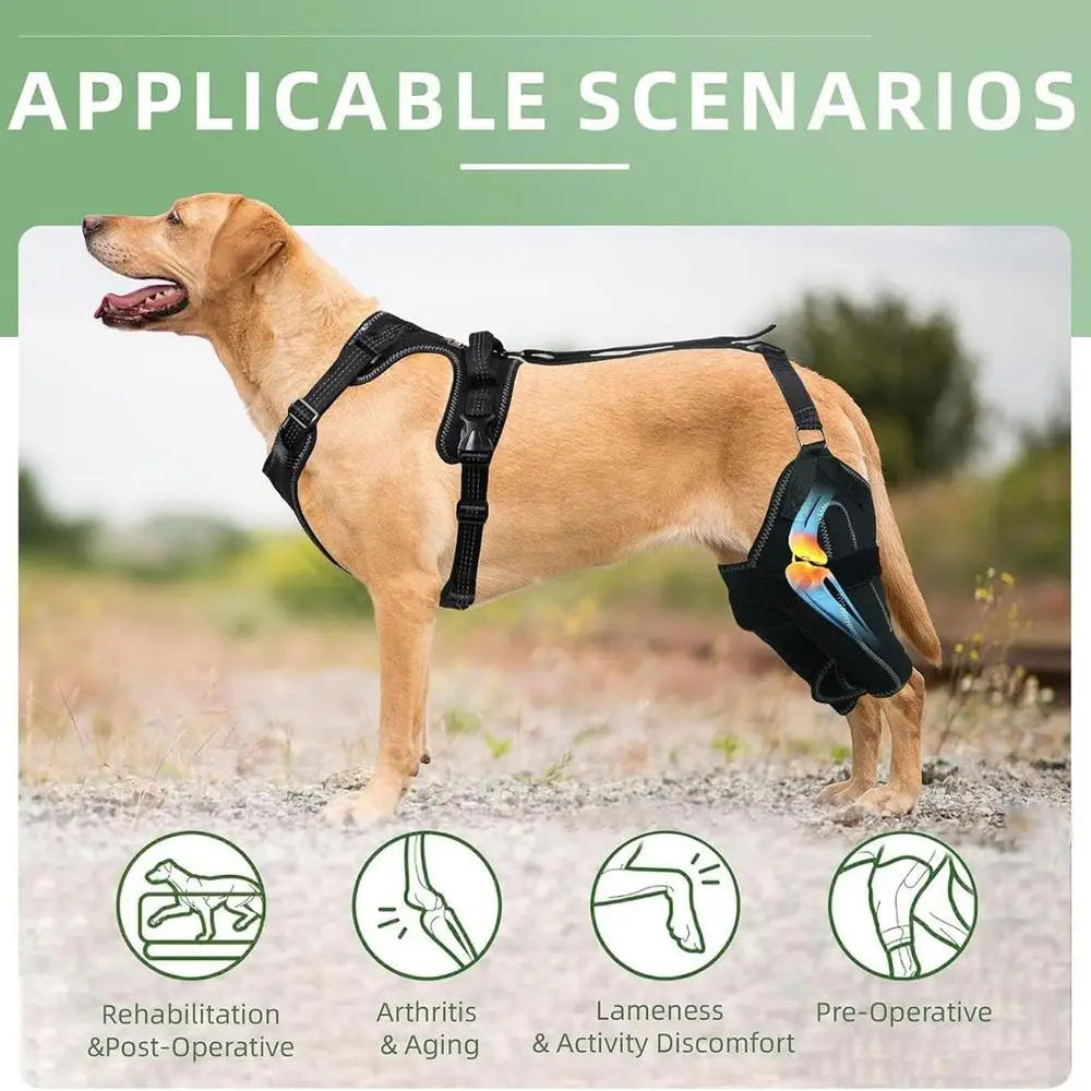 Dog Acl Knee Brace for Torn for Back Leg Warm Joint and Relieves Joint Pain Better Recovery Adjustable metal brace assistive