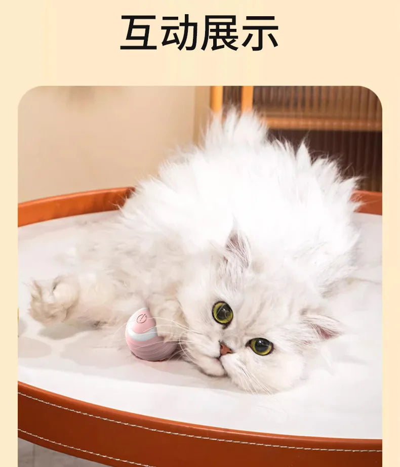 Smart Cat Rolling Ball Toys Rechargeable Cat Toys Ball Motion Ball Self-moving Kitten Toys for Indoor Interactive Playing 고양이