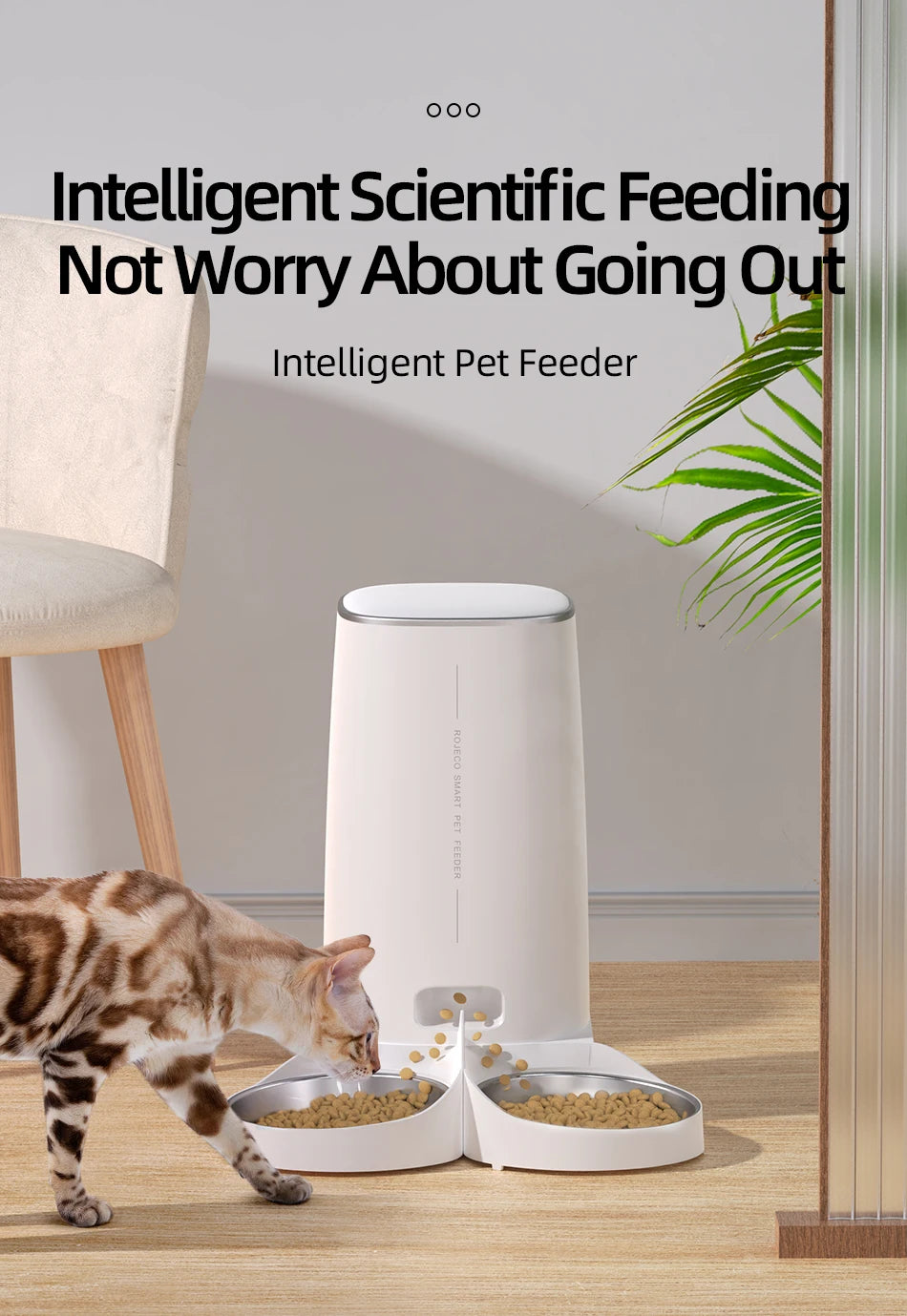 ROJECO Automatic Cat Feeder Pet Smart Cat Food Kibble Dispenser Remote Control WiFi Button Auto Feeder For Cats Dog Accessories