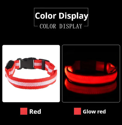 Dog Collar Nylon LED Night Safety Flashing Glow In The Dark Pet Dog Leash pet Dogs Luminous Fluorescent  dog accessories collar