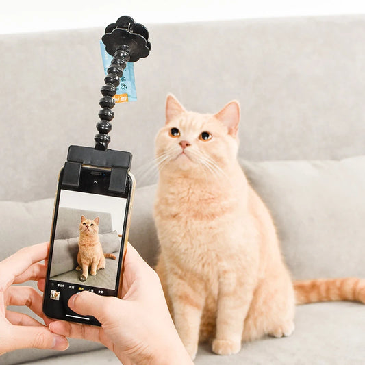 Pet Photography Tool Cat Dog Watching Lens Camera Selfie Stick for Cell Phone Attention-grabbing Snacks Props Holder Selfie Clip