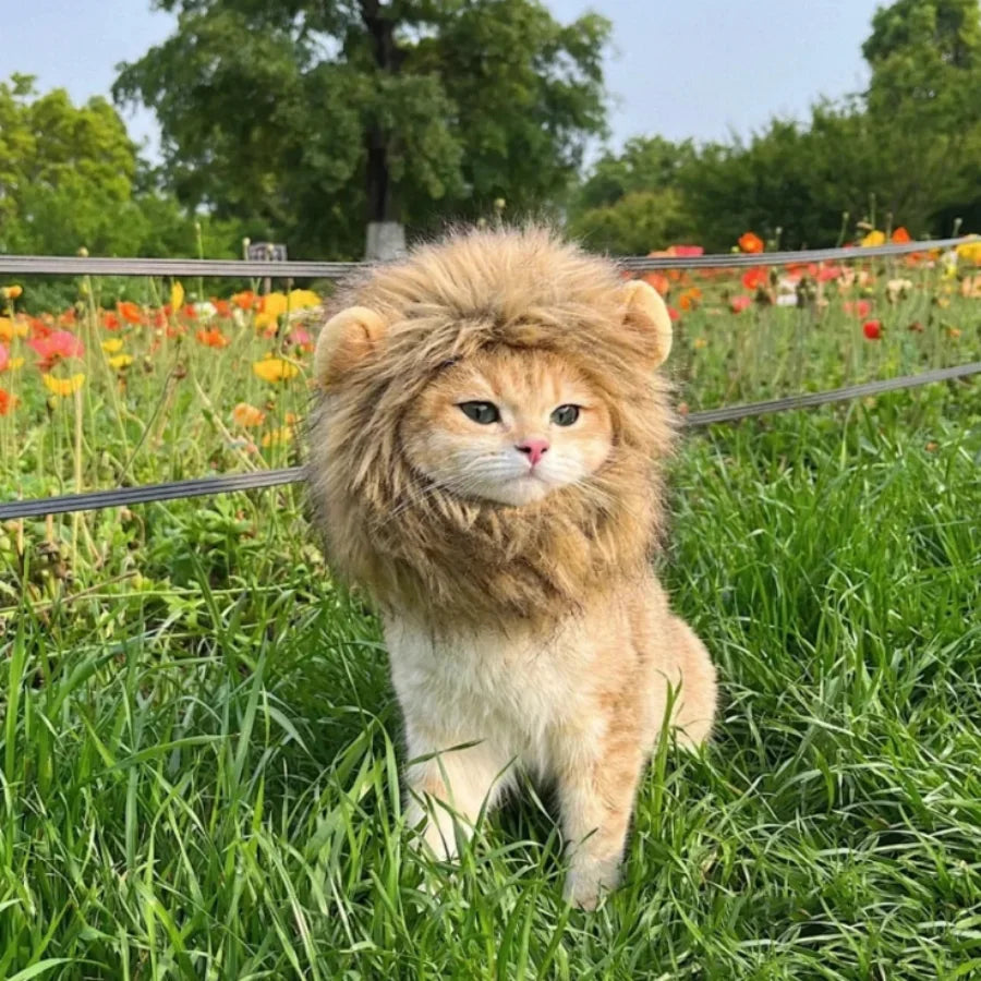 Cute Lion Mane Frog Cat Wig Hat Cover Funny Pet Cloth Cap Fancy Party Little Dog Cosplay Costume Rabbit Bear Kitten Puppy Hats