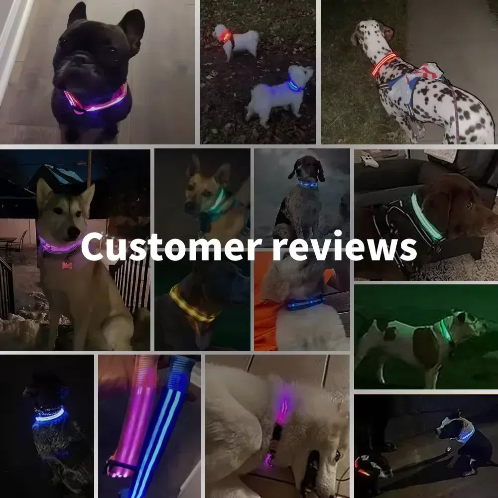 LED Glowing Dog Collar Adjustable Flashing Rechargea Luminous Collar Night Anti-Lost Dog Light HarnessFor Small Dog Pet Products