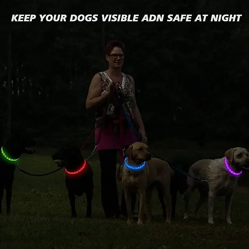 Silicone Led Dog Collar Usb Rechargeable Luminous Dog Collar Anti-Lost/Car Accident Safety Pet Light Collar for Dog Accessories