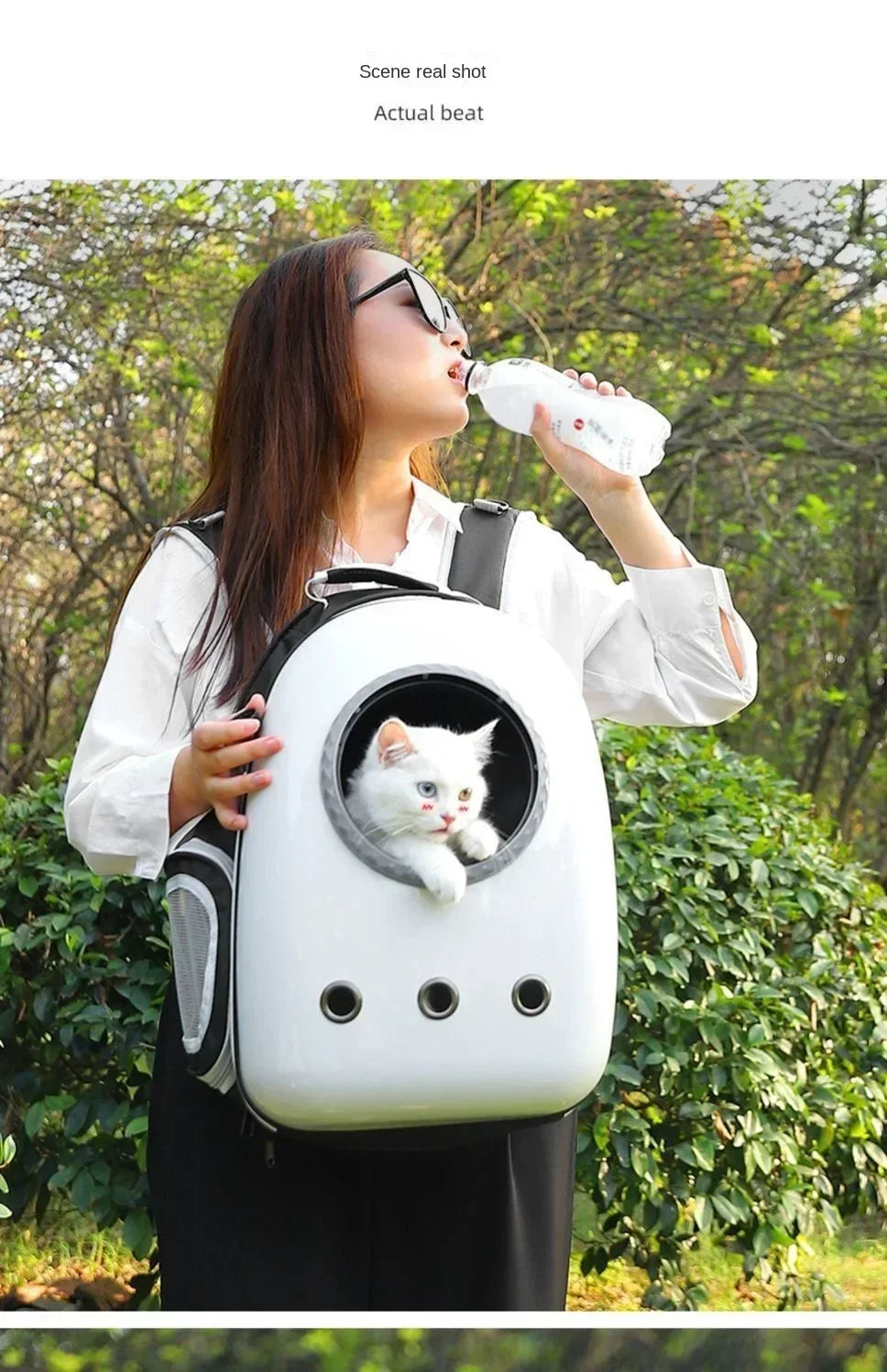 Cat bag portable cat backpack pet space capsule bag dog backpack cat cage book bag cat supplies