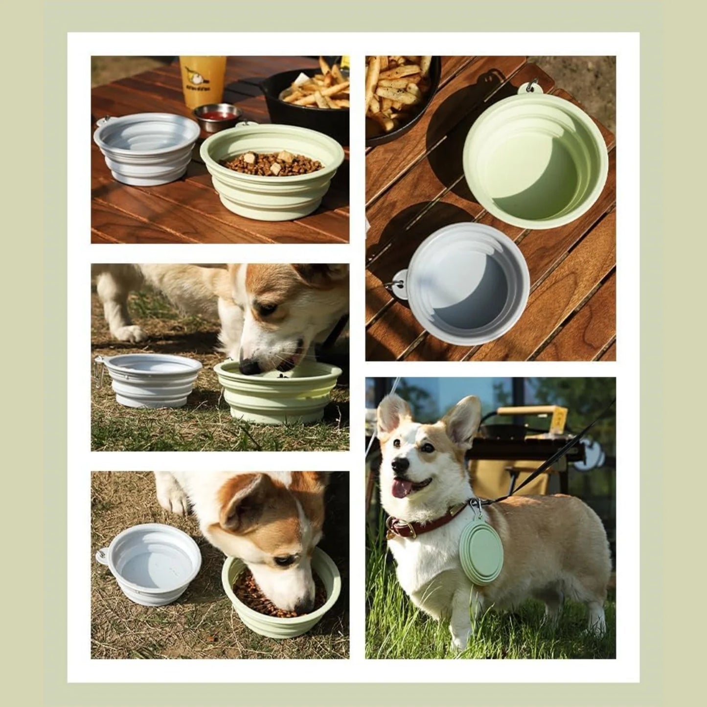 Pet Folding Silicone Bowl Outdoor Travel Portable Food Water Container Dogs Feed Supplies Bowl with Cat with Carabiner