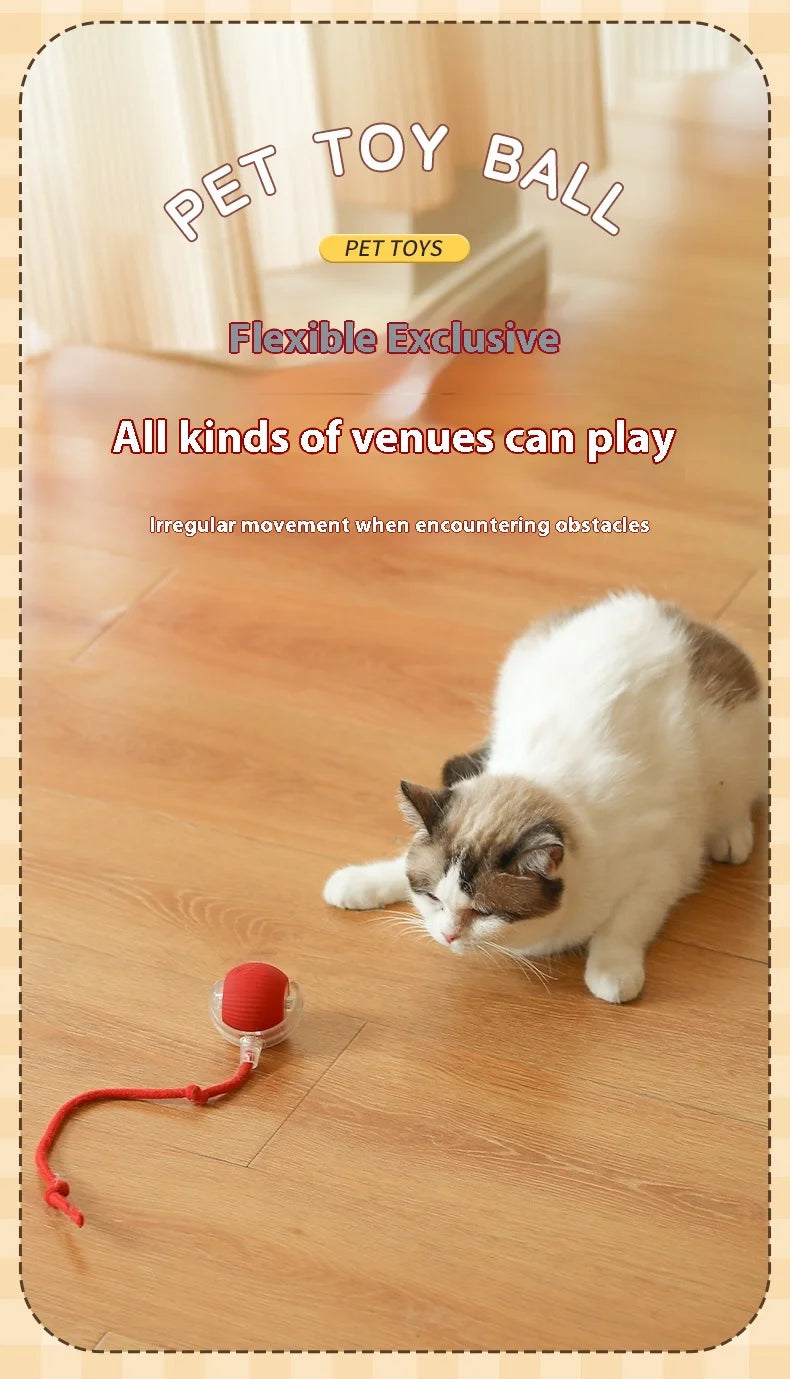 Cat Interactive Ball Toys 3 Mode Automatic Rolling Ball Faux Tail Rechargeable Smart Pet Electric Toy Cat Training Imitate Mouse