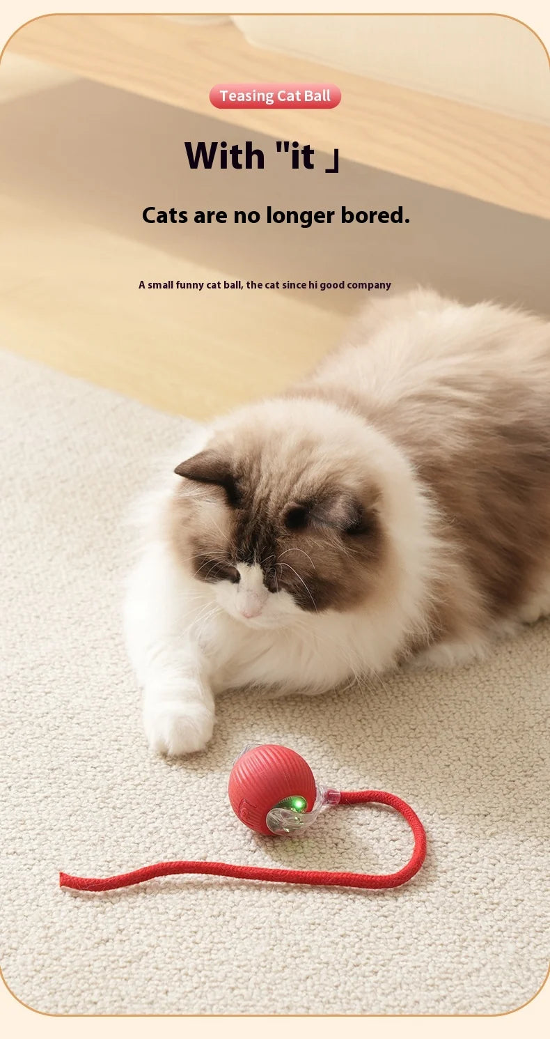 Rechargeable Cat Toys Interactive Smart Pet Interaction Automatic Rolling Ball Toy Accessories for Cats Electric Dog Ball Things