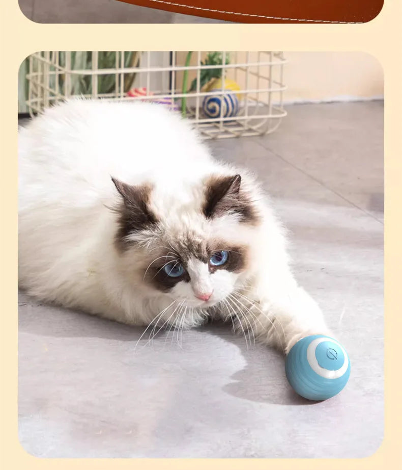 Smart Cat Rolling Ball Toys Rechargeable Cat Toys Ball Motion Ball Self-moving Kitten Toys for Indoor Interactive Playing 고양이