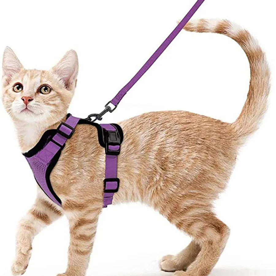 Cat Harness and Leash for Walking, Escape Proof Soft Adjustable Vest Harnesses for Cats, EasyControl