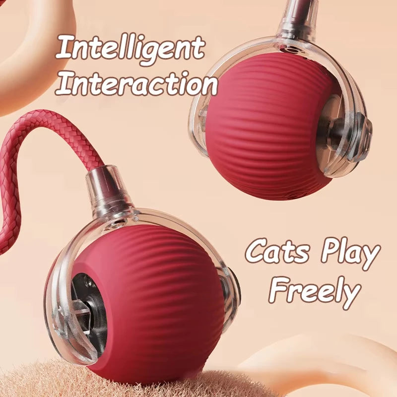 Hot Electric Dog Ball Toys Automatic Rolling Ball Rechargeable Smart Pet Interactive Plush Toy Dog Cat Training Imitate Mouse