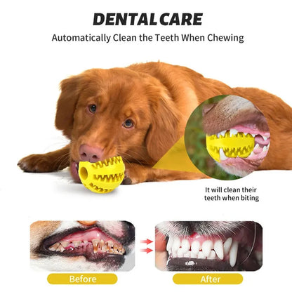 Pet Toy Tooth Cleaning Ball Bite Resistant Small, Medium and Large Dog Food Leakage Toy Relief Molar Elastic Ball