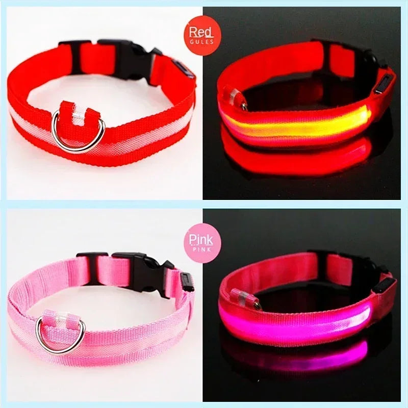 LED Glowing Dog Collar Adjustable Flashing Rechargea Luminous Collar Night Anti-Lost Dog Light HarnessFor Small Dog Pet Products