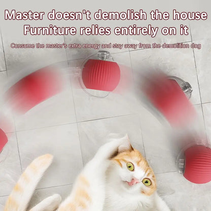 Cat Interactive Ball Toys Automatic Rolling Ball Faux Tail Rechargeable Smart Pet Electric Toy Dog Cat Training Imitate Mouse