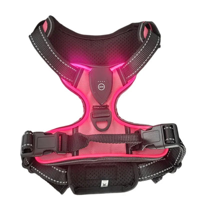 LED Glowing Luminous Dog Harnesses Essential for Dog Walking Safety at Night Dog Vest with Three LED Light Modes Rechargeable