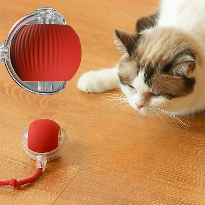 Cat Interactive Ball Toy, Automatic Rolling Ball with Tail, Rechargeable Smart Pet Interactive Toy, Intelligent Mouse for Cat