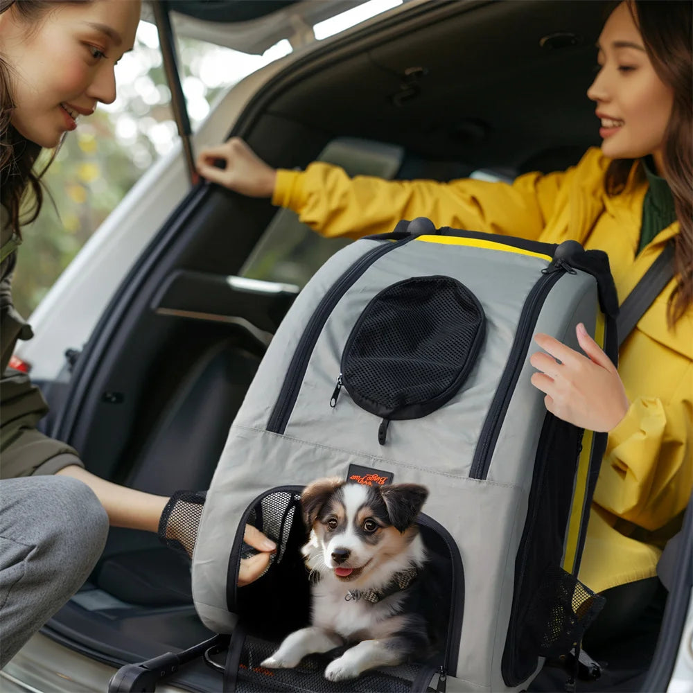 Folding Portable Dog Stroller 2 in 1 Pet Stroller Pushchair Collapsible Dog Travel Crate for Car Seat for Small Dogs and Cats