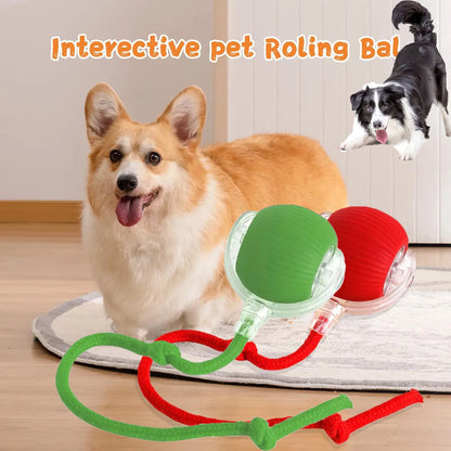 Hot Electric Dog Ball Toys Automatic Rolling Ball Rechargeable Smart Pet Interactive Plush Toy Dog Cat Training Imitate Mouse