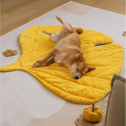 Plush Leaf-Shaped Washable Dog Mat