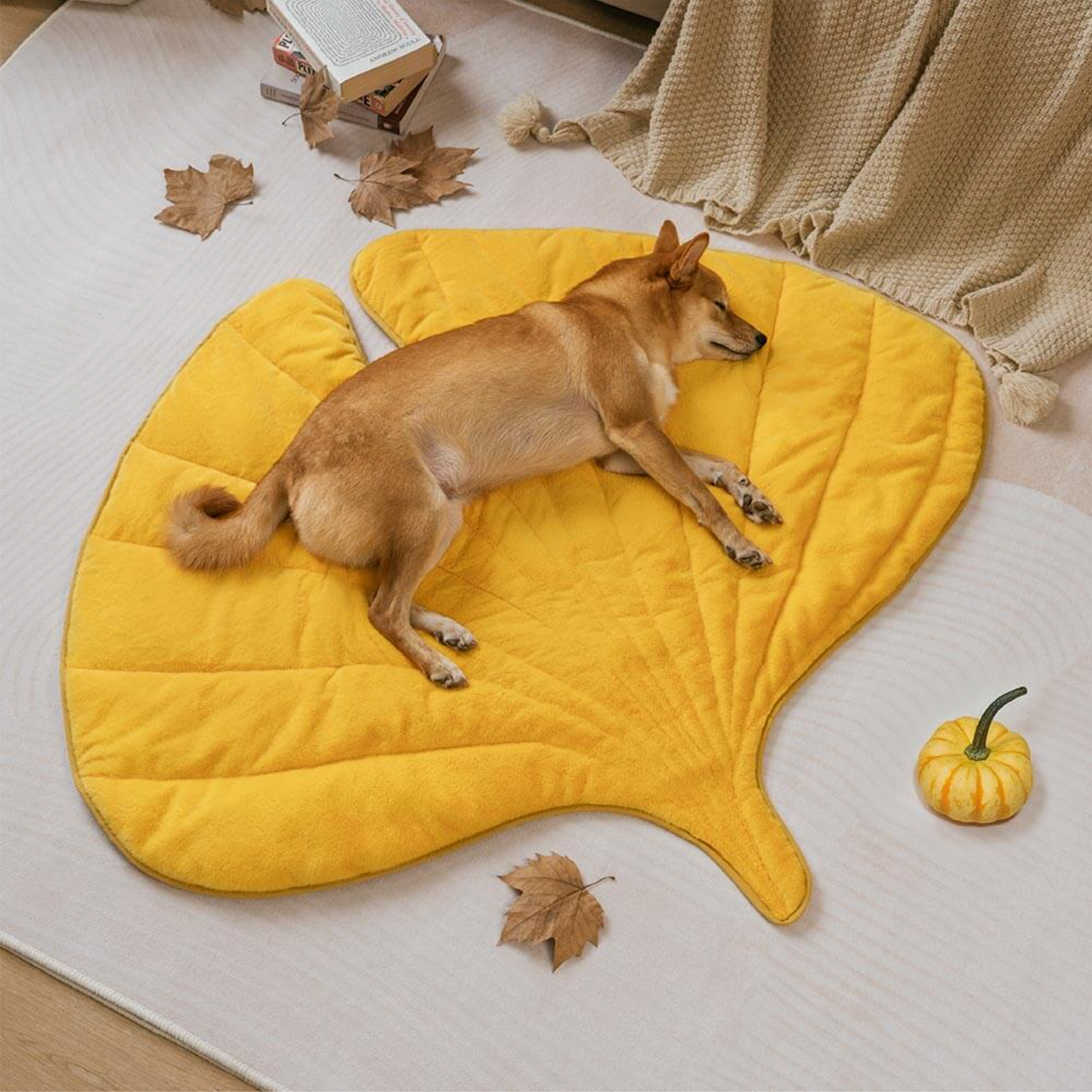 Plush Leaf-Shaped Washable Dog Mat