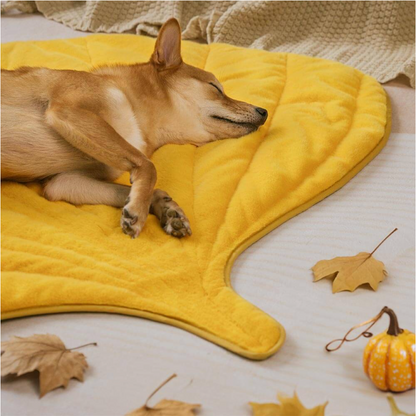 Plush Leaf-Shaped Washable Dog Mat