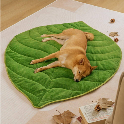 Plush Leaf-Shaped Washable Dog Mat