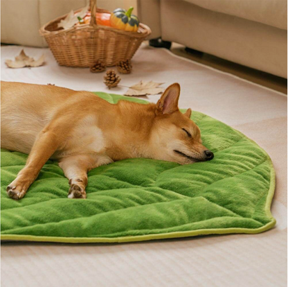 Plush Leaf-Shaped Washable Dog Mat