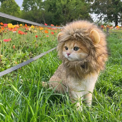 Cute Lion Mane Frog Cat Wig Hat Cover Funny Pet Cloth Cap Fancy Party Little Dog Cosplay Costume Rabbit Bear Kitten Puppy Hats