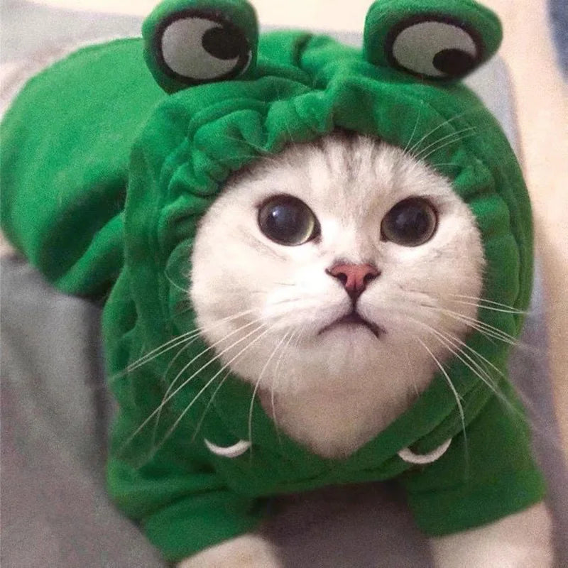 Cute Pets Hoodies Frog Shaped Cats Plush Coat Funny Cosplay Costume Pet Cat Clothes Dog Hooded Sweatshirt