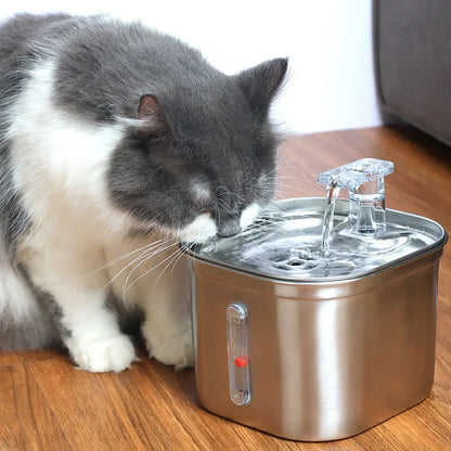 Cats Water Fountain Stainless Steel Auto Running Cat Water Drinker With Filter Motion Sensor Transparent Pets Drinking Dispenser