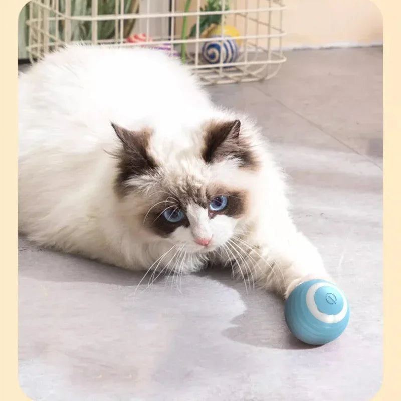 Smart Cat Rolling Ball Toys Rechargeable Cat Toys Ball Motion Ball Self-moving Kitten Toys for Indoor Interactive Playing 고양이