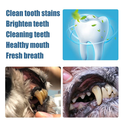 Pets Teeth Cleaning Tools Pet Beauty Toothbrush Clean Kit Tartar Remover Teeth Stones Scraper Dogs Tooth Stains Cleaning Pen