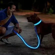 LED Glowing Dog Collar Adjustable Flashing Rechargea Luminous Collar Night Anti-Lost Dog Light HarnessFor Small Dog Pet Products