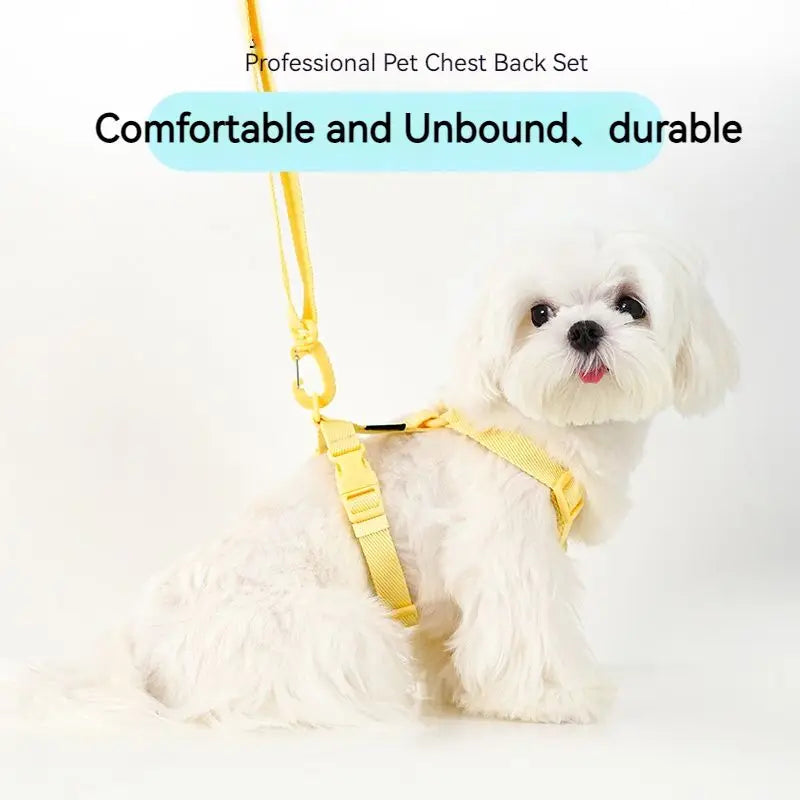 dog harness dog collar dog leash Macarone color cat accessories pet small dog accessories small dog harnessdog supplies