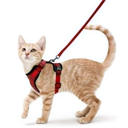 Cat Harness and Leash for Walking, Escape Proof Soft Adjustable Vest Harnesses for Cats, EasyControl